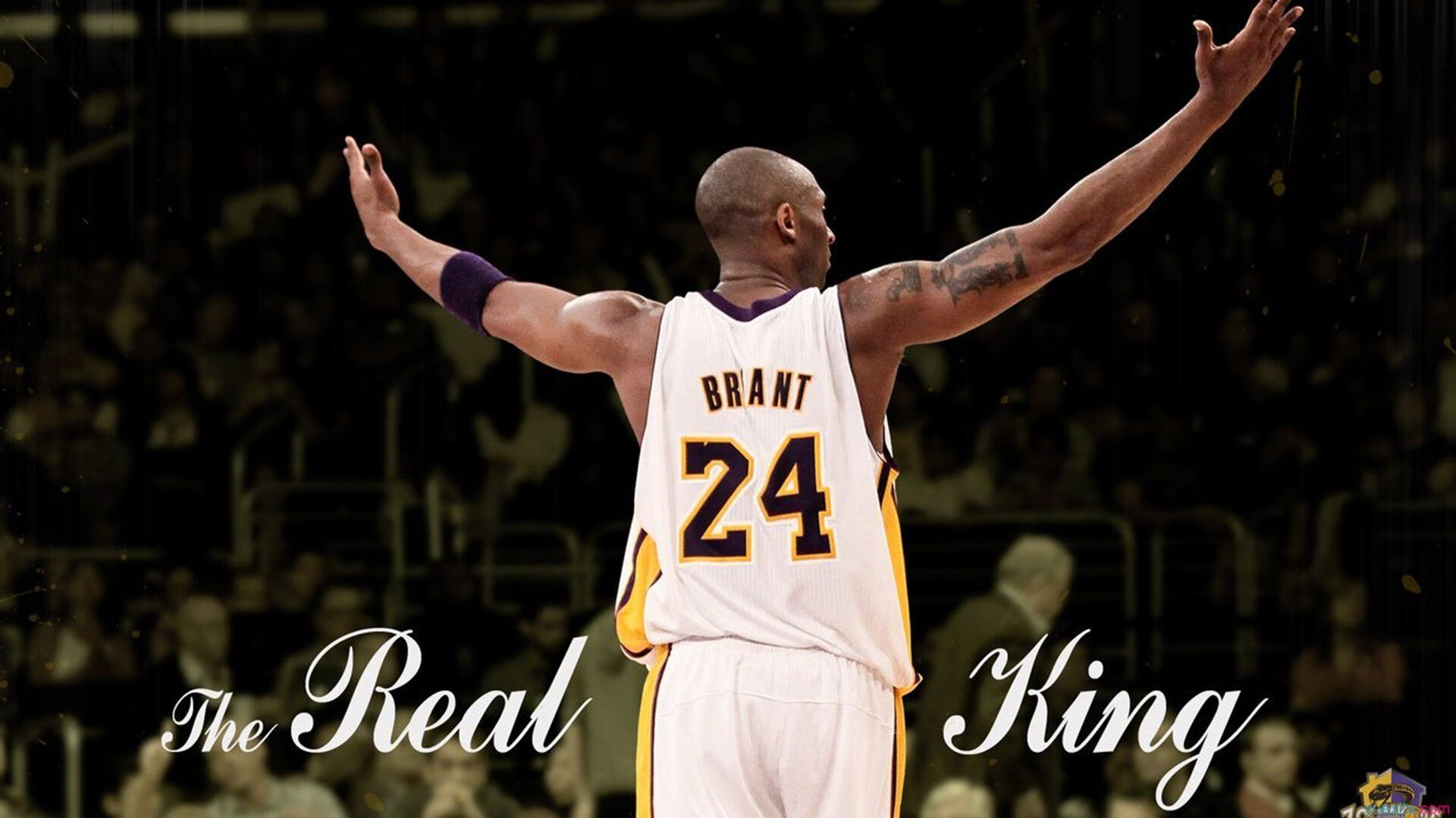 技术稳定性：中美澳德谁表现最佳？