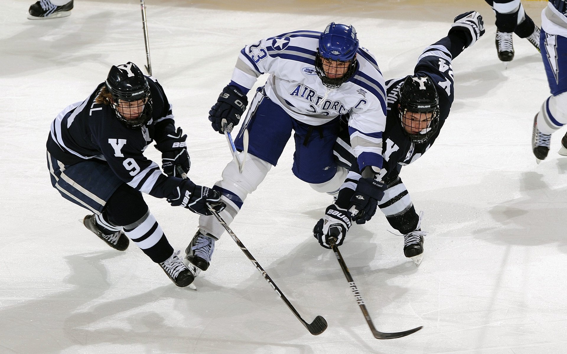 星空娱乐app-体育纪录片拍摄视角聚焦家庭支持力量，体育纪录片主题